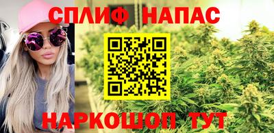 твердый Краснознаменск