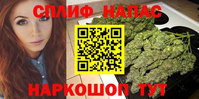СК Краснодар