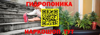 СК Краснодар