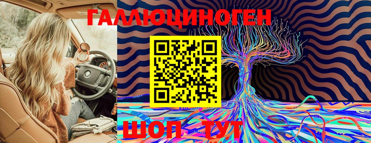 Камышин  Псилоцибиновые грибы MAGIC MUSHROOMS  закладка  Вход с VPN 